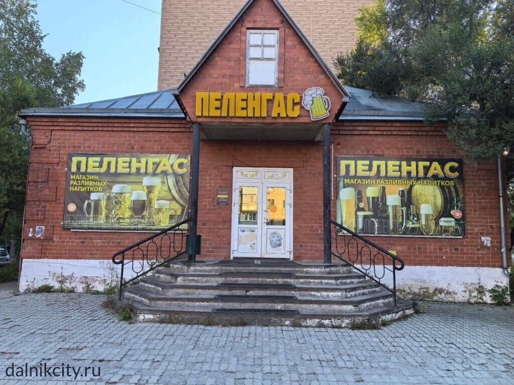 магазин Пеленгас в Дальнереченске